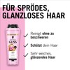 GLISS Shine Booster Hair Serum (100 ml) SOS Set with