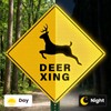 2 Pack Deer Xing Crossing Signs 18" x 18" Reflective