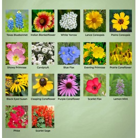 Created By Nature Oklahoma Wildflower Seed Mix, 17 Flower Varieties, 60,000 Seeds