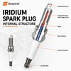 Set of 4 Ignition Coils and 4 Iridium Spark Plugs