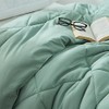 DormCo Solid Iceberg Green Twin XL Comforter