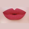 Beauty Creations - Set 5 Labiales Mate Alta Pigmentación