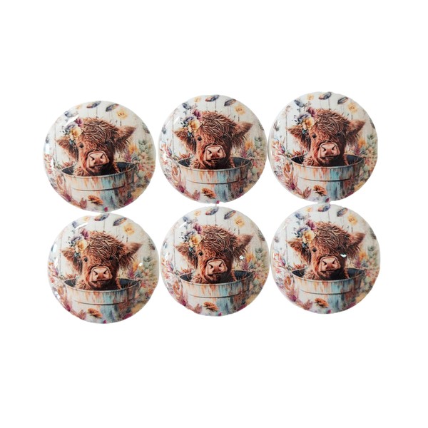 Twisted R Design Cabinet Knobs, Knobs for Kitchen Cabinets and