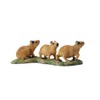 CollectA Capybara Babies