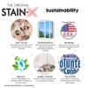 STAIN-X Stain Remover - Multi-Purpose Stain Remover for Carpet, Upholstery