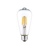 DC 12 Volt Warm White 2700k 6 Watt LED Filament