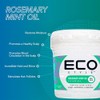 Eco Style Rosemary Mint Hair Gel, Alcohol Free, Vegan, 473