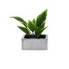 WGV Silver Scratched Square Ceramic Vase, Width 8", Height 4",