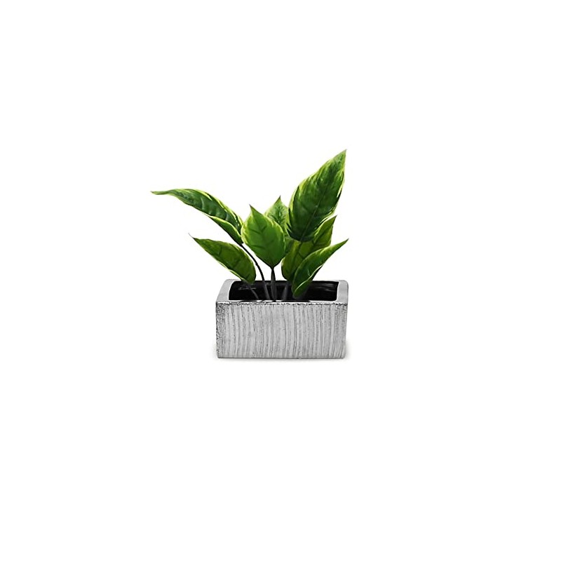 WGV Silver Scratched Square Ceramic Vase, Width 8", Height 4",