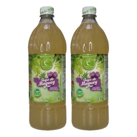 Bebida 2 Jugo Con Cardo Mariano Verde Santo Natural Origi 1l