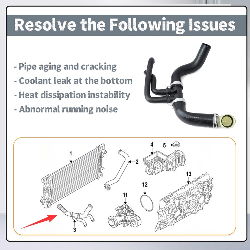 Erchon BL3Z8286C Lower Radiator Hose Compatible with Ford F150 5.0L