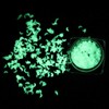 Ocobudbxw Luminous Sequins Glow In the Dark Glitters Resin Jewelry