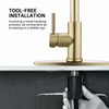WEWE Gold Kitchen Faucet with Pull Down Sprayer, Single Handle