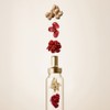 Jeonggwanjang 정관장 활기력 20ml 16개입, 1개 Korean Ginseng Jeonggwanjang Vitality