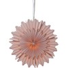 Star Paper star 'Crystal', pink,