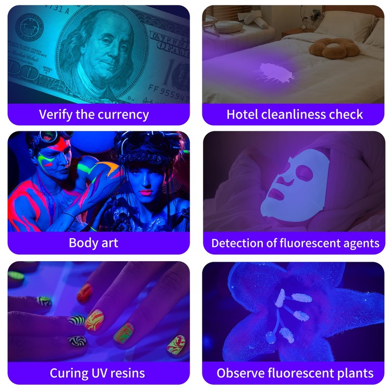 LEAGY 6 Pack UV Ultra Violet Blacklight 9 LED Flashlight