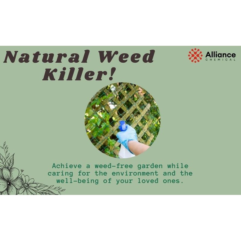 Alliance Chemical Alliance Chemical 50% Vinegar - 4 Gallon Case
