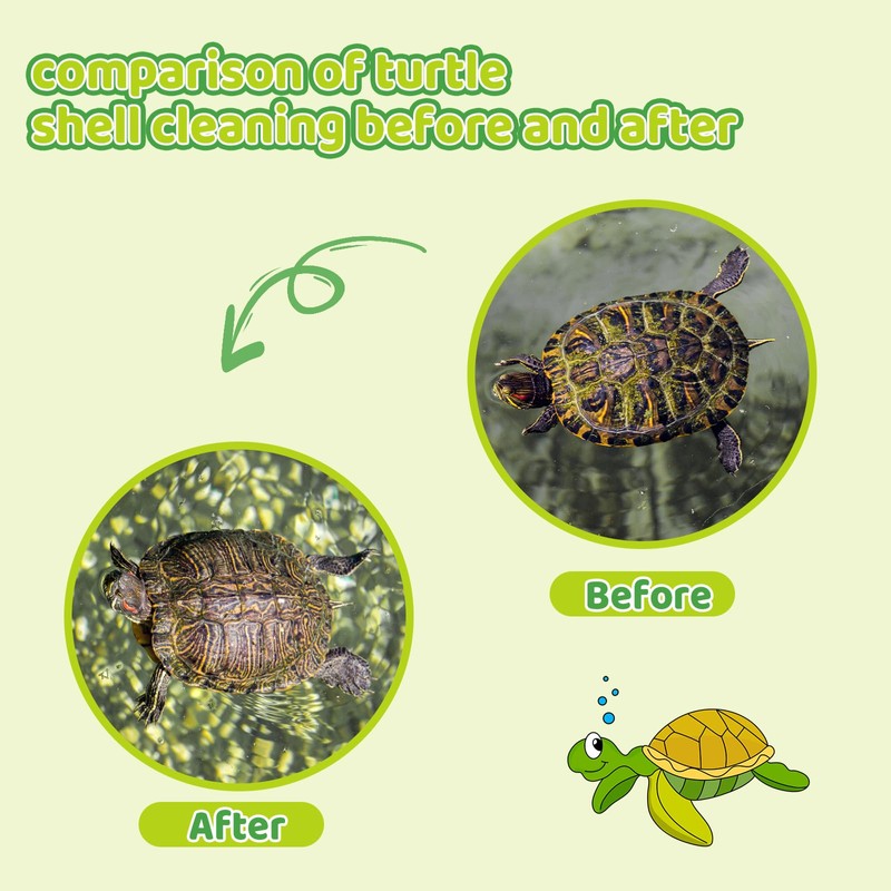 2pcs Turtle Brush with Suction Cup, Tortoise Shell Cleaning Scrub,