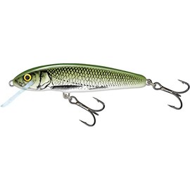 Salmo Minnow Floating 5 - Olive Bleak