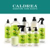 Caldrea Multi-surface Countertop Spray Cleaner, Made with Vegetable Protein Extract,