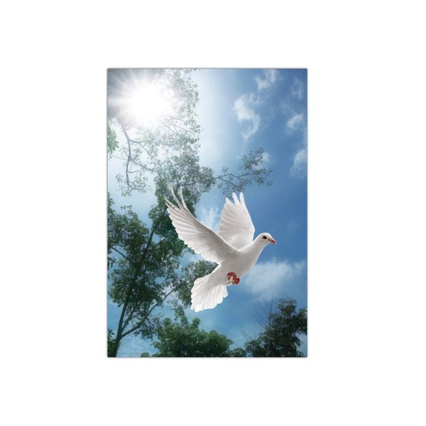 Funeral Memorial Prayer Cards (50 Cards) FPC1016EN Dove Select Desired Prayer