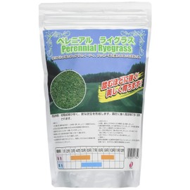 Fukkaen Seedlings, Western Grass Perennial Rice Grass, 0.3 gal (1 L)