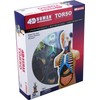 4D Vision Human Anatomy Torso Model