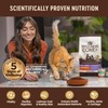Wellness CORE+ Adult Dry Cat Food for Indoor and Outdoor