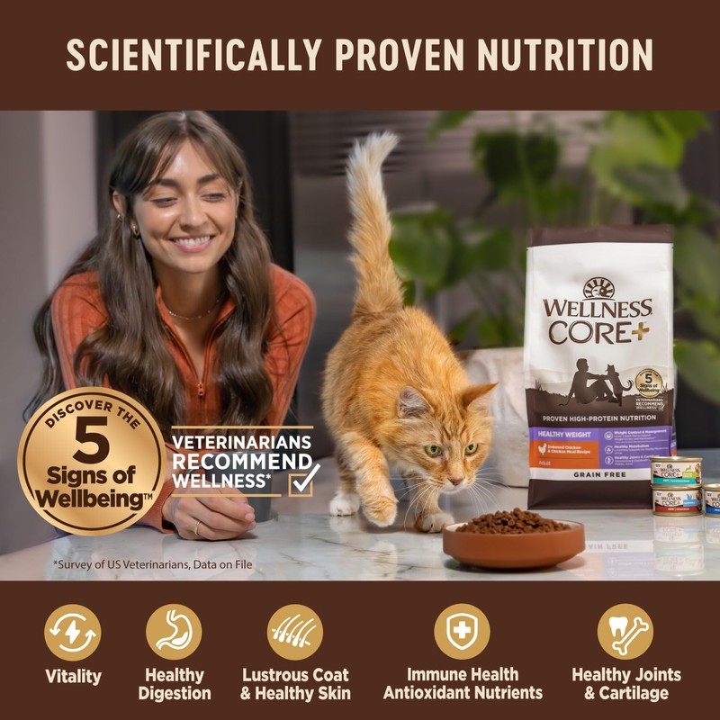 Wellness CORE+ Adult Dry Cat Food for Indoor and Outdoor