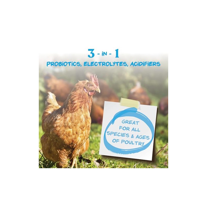 Manna Pro Hydro-Hen Poultry Electrolyte & Probiotic Supplement, Hydration Support