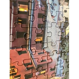 VARWANEO 300 Pieces Puzzle for Adults Educational Intellectual Jigsaw Puzzle Fun Game for Men Women Kids Holiday Pets