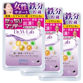 鉄分 サプリ 葉酸サプリ フェリチン鉄 【医学博士監修 国内製造】 葉酸 亜鉛 ビタミンC ビタミンE ビタミンB12 マルチビタミン 貯蔵鉄 まめ 鉄 エルゴチオネイン ソフトカプセル サプリメント 90粒/30粒×3袋 90日分