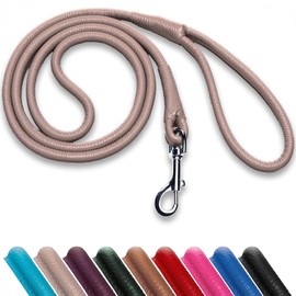 OOPSDOGGY Rolled Leather Dog Lead 6ft Heavy Duty Training Leash for Small Medium Large Dogs & Puppy Black Brown Red (Beige, Small)