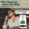 Maca Negra 500mg - 500 Cápsulas Pack Sin Sabor