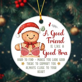 A Good Friend is Like A Good Bra Ornament, Funny Friend Christmas Ceramic Ornaments, Funny Christmas Ornaments for Women, Friend, Funny for Adults Women, Coworkers (HC-20)