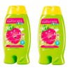 Pack of 2 Avon Naturals Kids Swirling Strawberry Body Wash