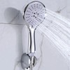 Shower Head Chrome with Stainless Steel Hose and Wall Mount