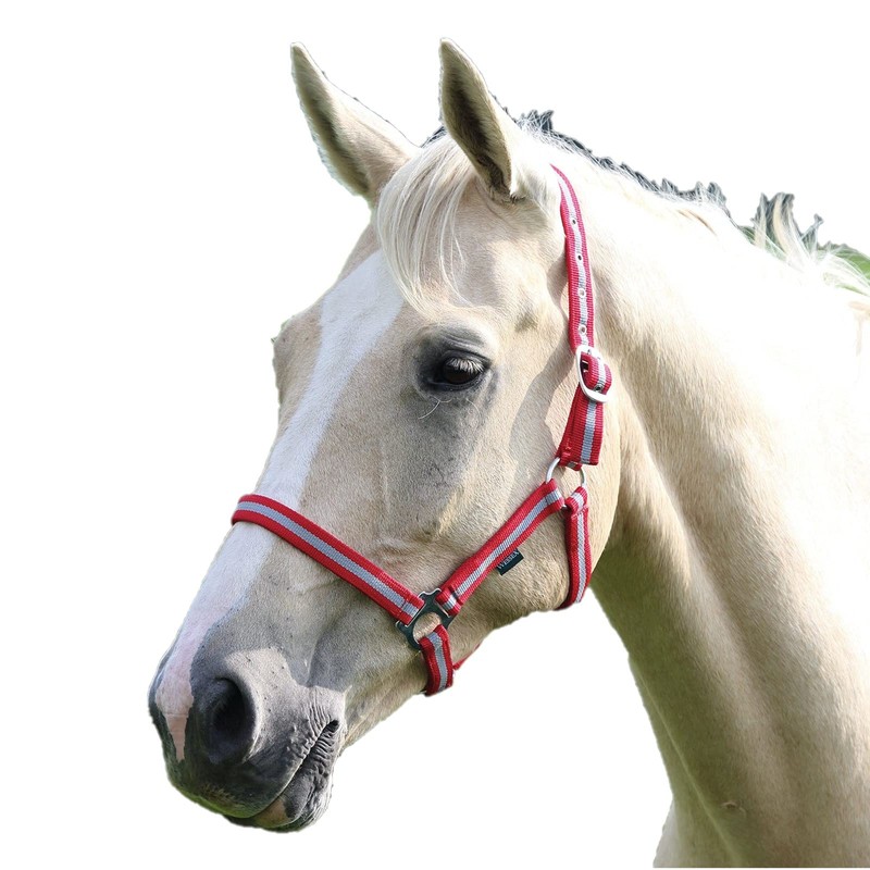 Shires Wessex Pony/Horse Headcollar Full Navy Blue