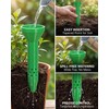 3 Pack Plant Watering Funnel & Root Watering Spike for