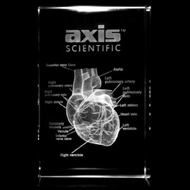 Axis Scientific 3D Etched Glass Human Heart Model - Made from Thick Durable Glass - Perfect for Gifting and Display - Laser Etched - Great for Home or Office