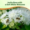 Outsidepride White Ageratum Seeds - 5000 Pcs Annual Flower Seeds