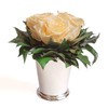 ROSEMARIE SCHULZ Heidelberg Infinity Flowers in Silver Cup 3 Preserved