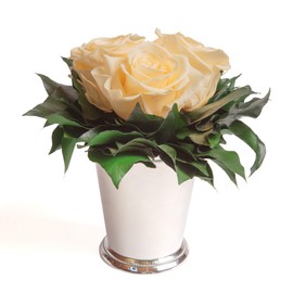 ROSEMARIE SCHULZ Heidelberg Infinity Flowers in Silver Cup 3 Preserved Roses Preserved Bouquet Long Lasting (Beige, 3 Roses)