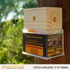 Bee Warehouse - Carpenter Bee Trap - Wood Boring Bee