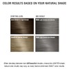 AGEbeautiful Permanent Liqui Creme Hair Color Dye | 100% Gray