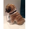 Sitting Shih Tzu Ornament Figure Figurine Model Gift Brown/White Leonardo