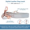 Soft Leather Dog Collar and Leash (6.6') Set - Stylish
