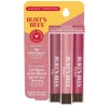 Burt's Bees Lip Shimmer Nude Collection, Tinted Lip Balm Stick,