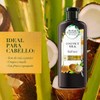 Herbal Essences Bíorenew Shampoo + Acondicionador Hydrate Coconut Milk 400ml