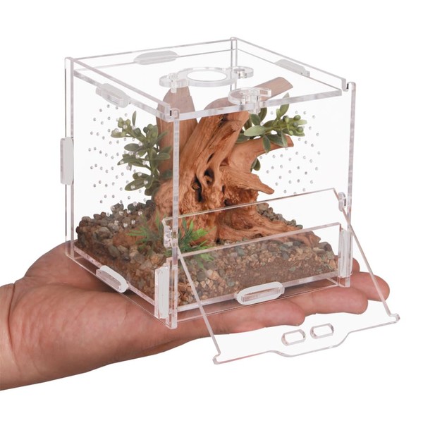LEIZHENZIJumping Spider Enclosure,4" X 4" X 4",Tarantula Enclosure,Reptile Tank for